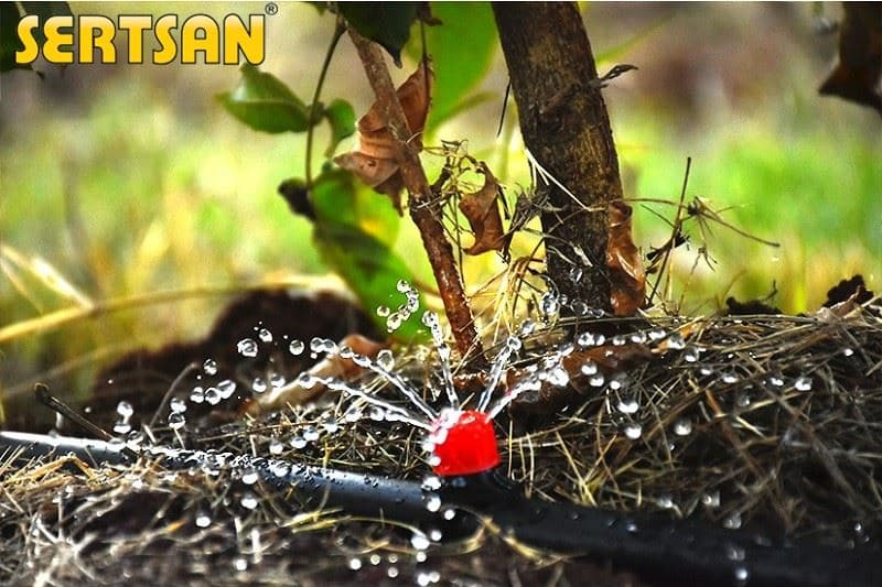 Dripper Number and Spacing in Drip Irrigation